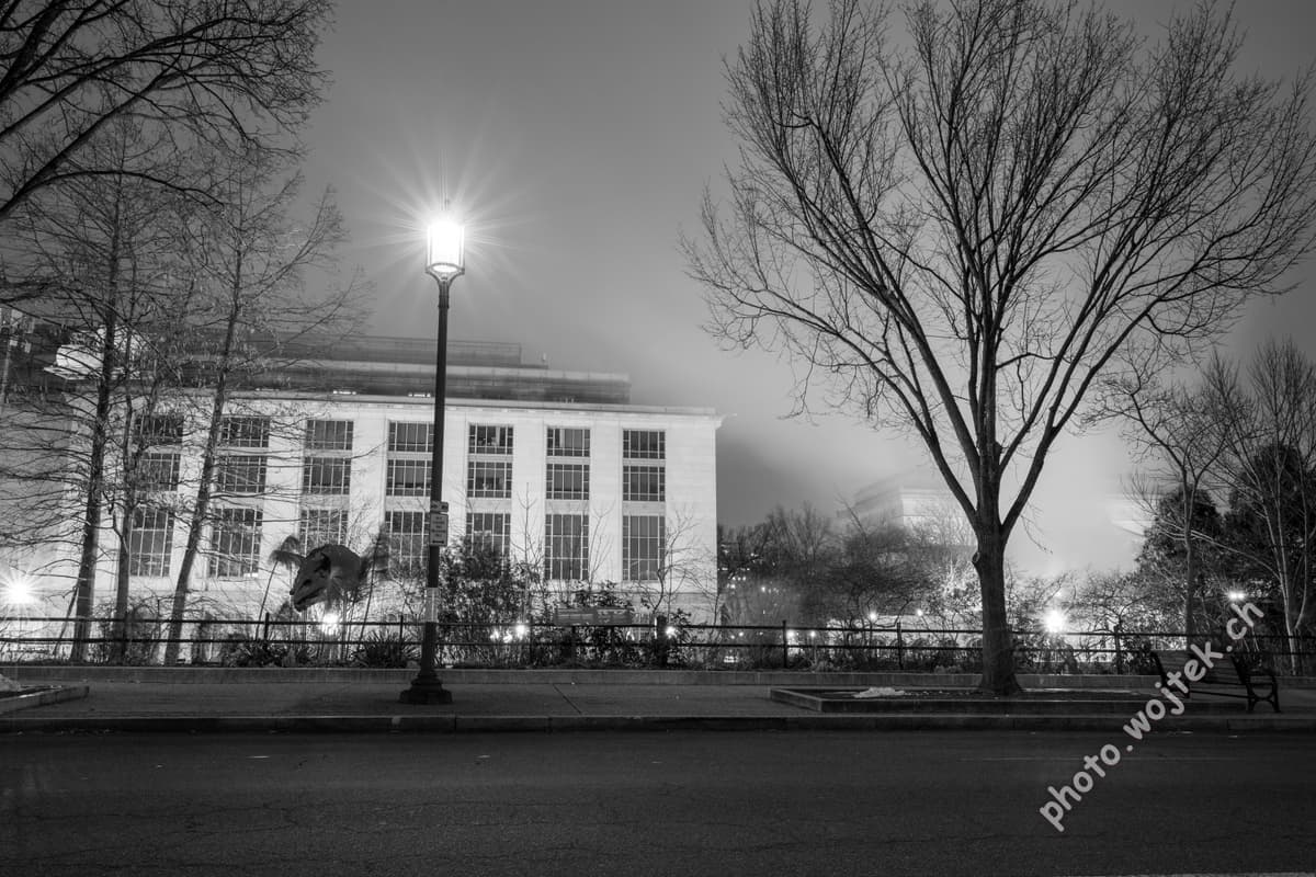 Streetlamp and bare trees near office building Washington DC