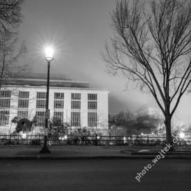 Streetlamp and bare trees near office building Washington DC