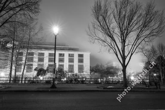Streetlamp and bare trees near office building Washington DC