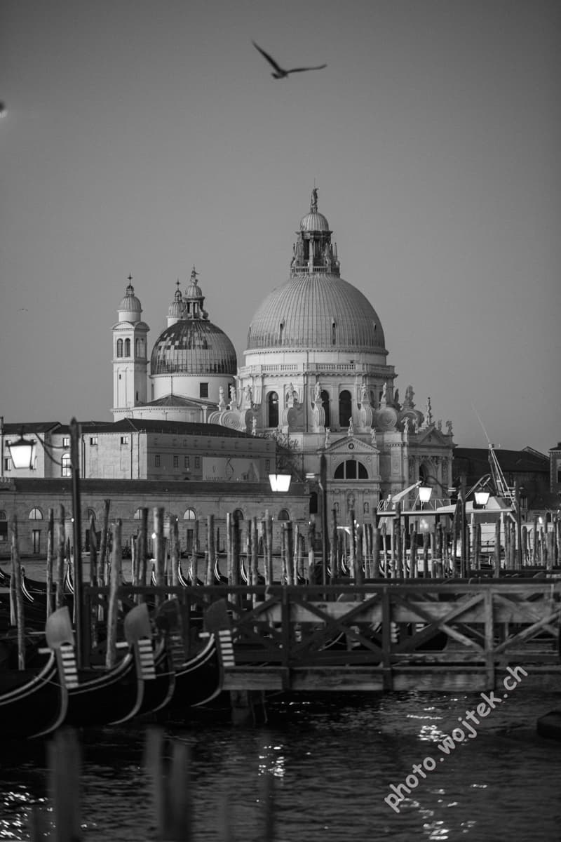 Gondolas and Basilica di Santa Maria della Salute Venice
