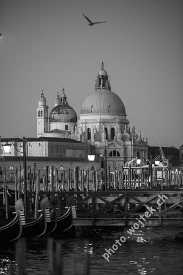 Gondolas and Basilica di Santa Maria della Salute Venice