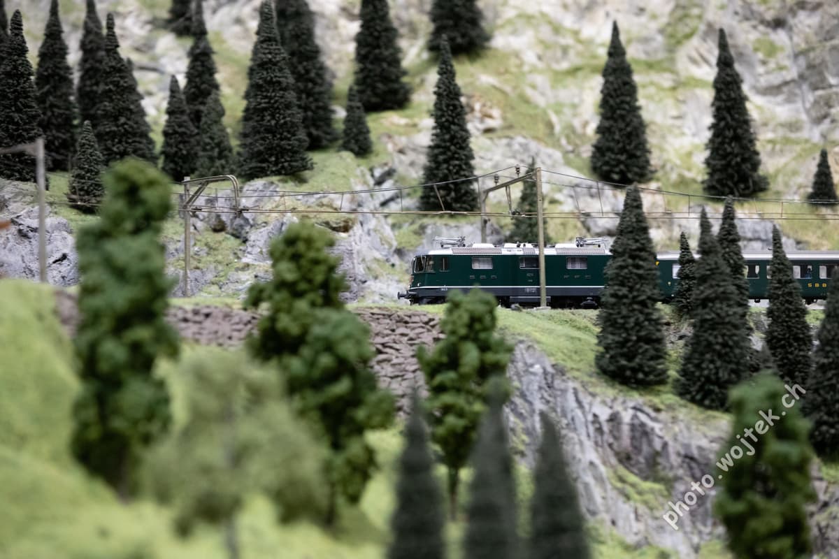 Model Train in Mountain Landscape Swiss Museum Luzern