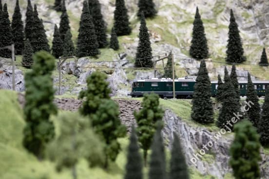 Model Train in Mountain Landscape Swiss Museum Luzern