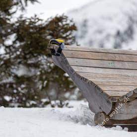 Wooden lounge chair with goggles Schladming Austria