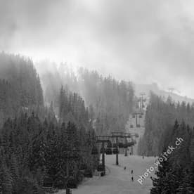 Skiers and Gondolas in Snowy Forest Schladming Austria