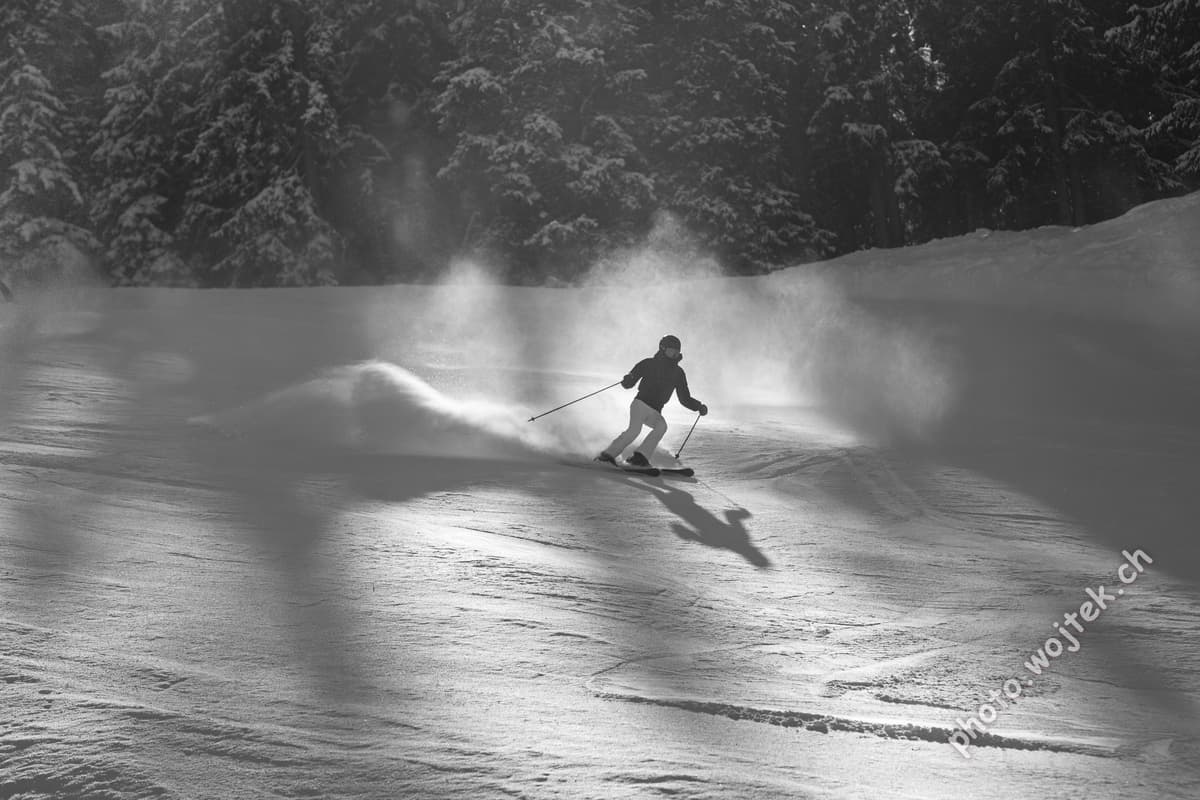 Skier carving snow slope Schladming Austria