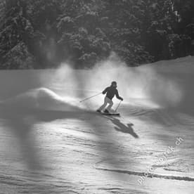 Skier carving snow slope Schladming Austria