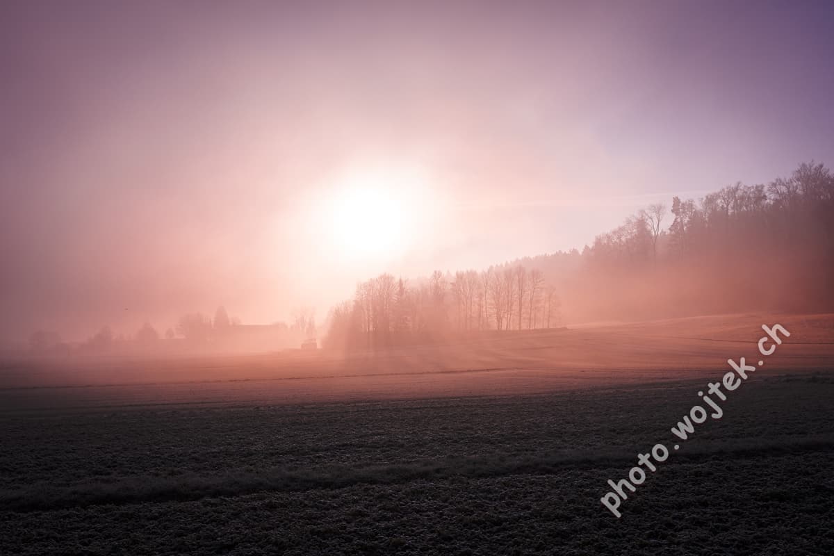 Foggy sunrise over field Zürich Switzerland