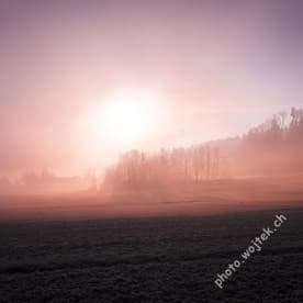 Foggy sunrise over field Zürich Switzerland
