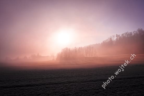 Foggy sunrise over field Zürich Switzerland